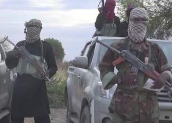 ‘I’m alive’ — declares senior Boko Haram member reportedly killed in airstrike