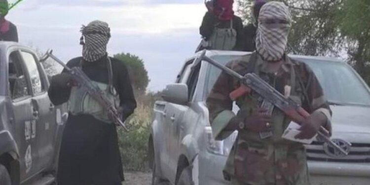 ‘I’m alive’ — declares senior Boko Haram member reportedly killed in airstrike