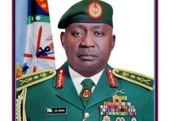 CDS Musa says Nigerians should learn combat skills for self-defence