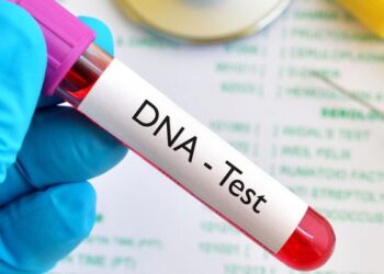 Stop rejecting kids over negative DNA test results, health experts tell fathers