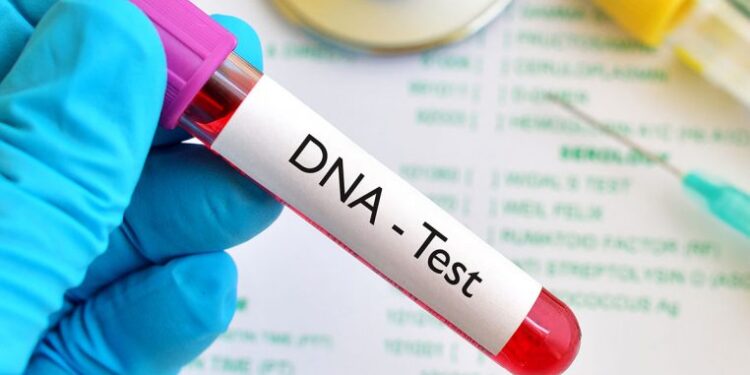 Stop rejecting kids over negative DNA test results, health experts tell fathers