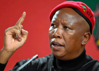Economy: Africa’s salvation won’t come from Washington, London, Beijing – Malema