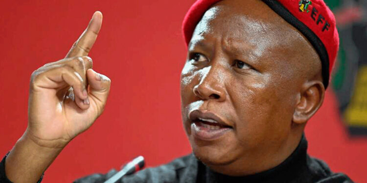 Economy: Africa’s salvation won’t come from Washington, London, Beijing – Malema