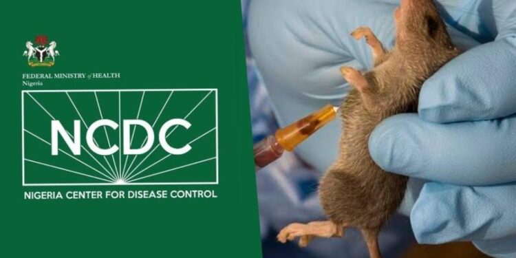 Nigeria records more deaths from fewer Lassa fever cases      The Nigeria Centre for Disease Control and Prevention (NCDC) has sounded an alarm over a surge in deaths from Lassa fever in 2025, even as the total number of suspected and confirmed cases remains significantly lower than last year.  In its Week 31report, ending August 3, 2025, NCDC confirmed nine new cases in Ondo, Edo, and Taraba States, up from three last week. The cumulative total for 2025 has now reached 836 confirmed cases and 156 deaths.  This represents a case fatality rate of 18.7 percent, more than the 17.3 percent accounted for in the same period of 2024.  As of August 3, there have been 6,851 suspected cases in 2025 in Nigeria, with 21 states and 105 local government areas affected.  The states with the highest burden are Ondo with 33 percent of cases, Bauchi with 23 percent, Edo with 17 percent, Taraba with 14 percent, and Ebonyi with 3 percent.  Most cases fall within the 21–30 age group, and the male-to-female ratio stands at 1 to 0.8.  The NCDC indicated that late presentation at health facilities, poor health-seeking behaviour linked to treatment costs, and inadequate sanitation in high-burden areas as key drivers of the rising fatality rate.