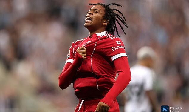 Newcastle 2-3 Liverpool: 16 year-old Ngumoha scores 100th-minute winner for Reds