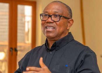 By-elections: Peter Obi tells supporters to vote ADC candidates