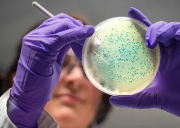 AI designs antibiotics for gonorrhoea, MRSA superbugs