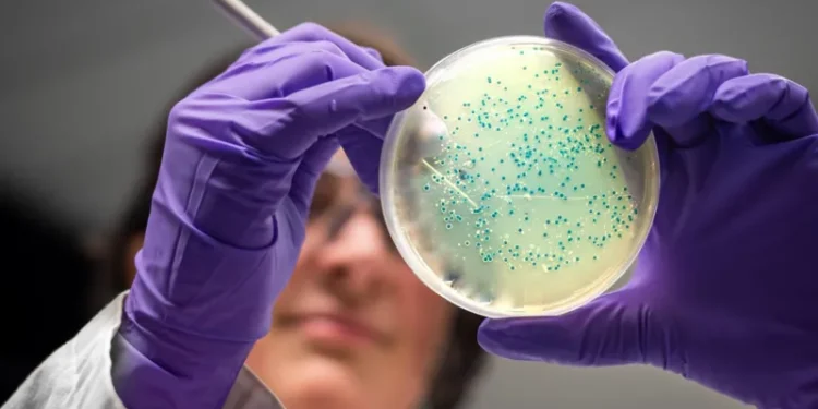 AI designs antibiotics for gonorrhoea, MRSA superbugs