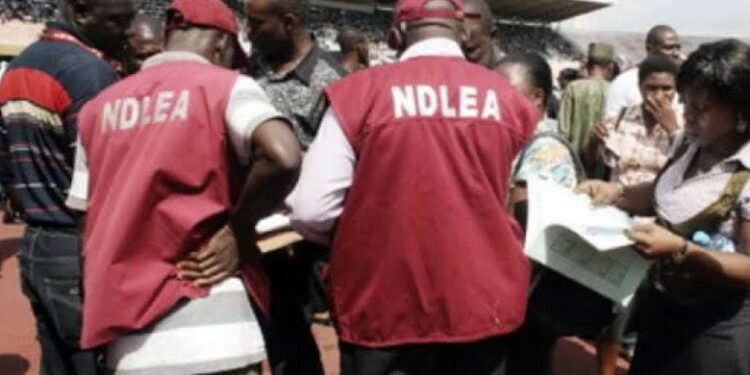 NDLEA nabs notorious drug kingpin, 5 others over pilgrims detained in Saudi Arabia