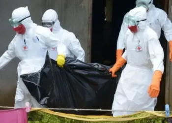Biosafety agency warns Nigerians to stay alert as Ebola threat looms