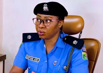 ‘Second wife the new iPhone men want to upgrade to’ — FCT police PRO laments rising cases of broken homes