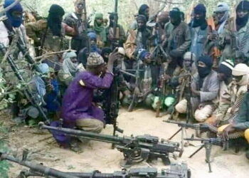 Nigerians have surrendered to bandits – Bukarti 