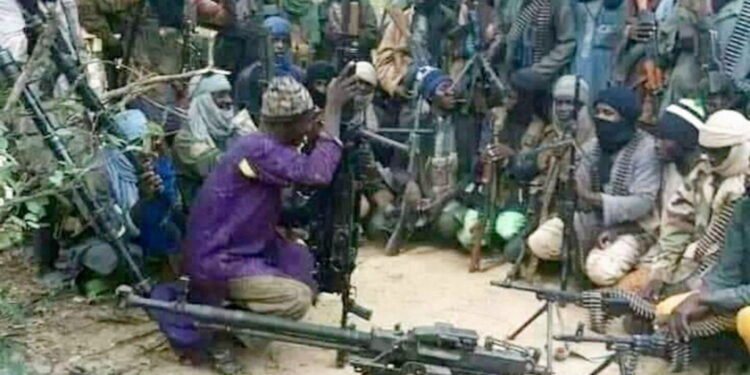 Nigerians have surrendered to bandits – Bukarti 