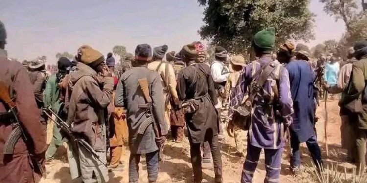 Gunmen invade plateau, raze 30 houses, over 300 displaced as attacks persist