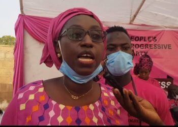 Natasha-Uduaghan: Nigeria not setting good example – Gambian lawmaker