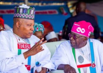 Tinubu: Making Shettima my vice not a mistake