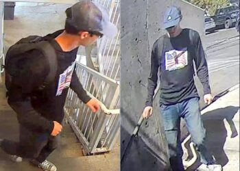 Suspected Charlie Kirk’s killer in custody – Trump