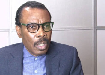 Rewane: 36 states too expensive for Nigeria