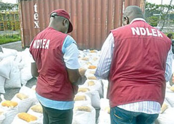Drug traffickers attack NDLEA, army operatives in Edo, injure one