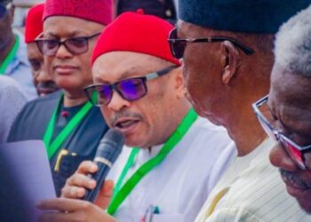 PDP National convention: Anyanwu petitions INEC, DSS, Police over forged signature