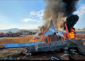 All passengers feared dead as tourist plane crashes