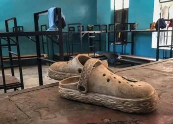 ‘We’ve become endangered species’ – NUT threatens nationwide strike over attacks on schools by terrorists