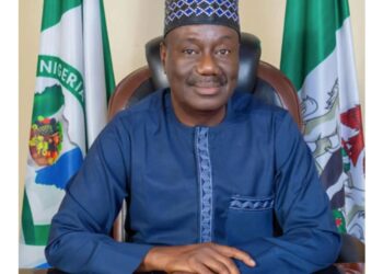 ‘May your road continue to be rough’, NNPP national chairman tells defectors