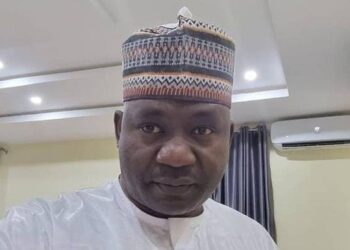 Christopher Musa confirmed by senate as new defence minister