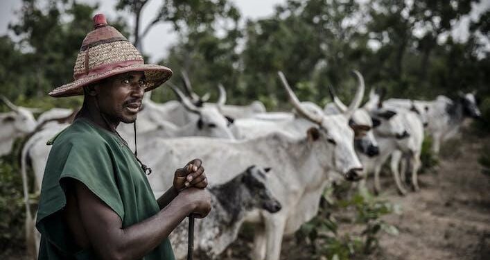 Herders kill for children in Plateau in alleged reprisal attack