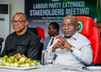 ‘I won’t leave Labour Party, follow Obi to ADC’ – Alex Otti