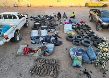 Nigerian military intercepts trucks conveying supplies for ISWAP terrorists