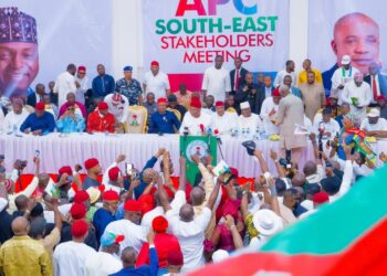2027: South-east APC governors adopt Tinubu as presidential candidate