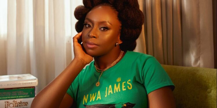 Lagos Govt commences probe into alleged medical negligence in Chimamanda son’s death