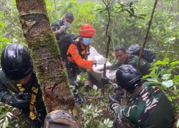 All victims of crashed Indonesian plane found seven days after