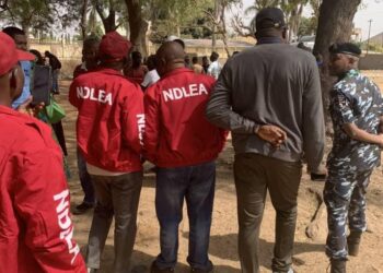NDLEA nabs wanted drug kingpin 12 years after killing three personnel