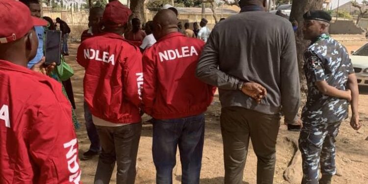 NDLEA nabs wanted drug kingpin 12 years after killing three personnel