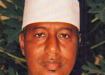 Tinubu withdraws Dakingari as ambassador-designate to Turkey hours after posting