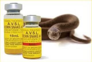 Anti-snake venom scarce, costs N250k – Gombe Snakebite Hospital MD