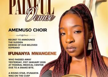 Fast-rising Abuja-based singer dies over hospital’s lack of anti-venom after snake bite