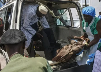 23 killed, 108 injured in Borno suicide attacks – Police