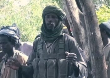 Troops kill ISWAP commander who ‘waged war’ against Shekau’s Boko Haram faction