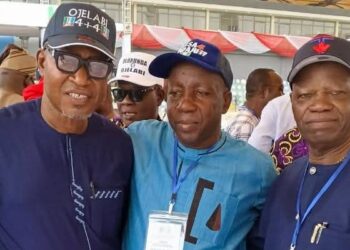 Imota LCDA chair Hon. Benson hails peaceful APC Lagos State Congress