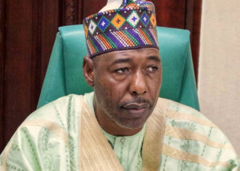 Two suicide bombers at large in Maiduguri – Zulum