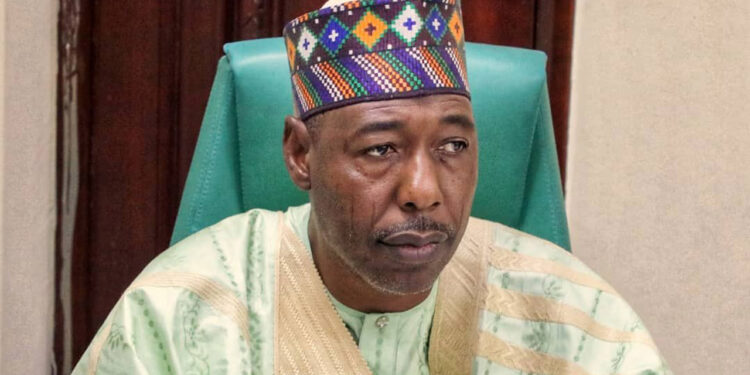 Two suicide bombers at large in Maiduguri – Zulum