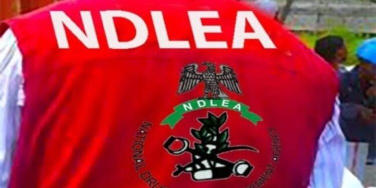 NDLEA intercepts addictive stimulant captagon in Kwara State