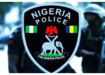 How our officers rescued all Benue Link passengers , by Police
