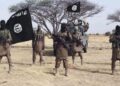 US, Nigerian forces kill three ISWAP lieutenants