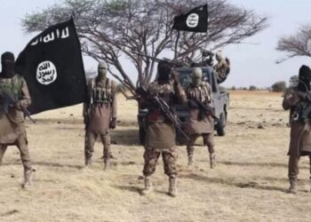 US, Nigerian forces kill three ISWAP lieutenants