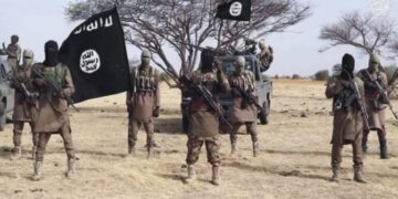 US, Nigerian forces kill three ISWAP lieutenants