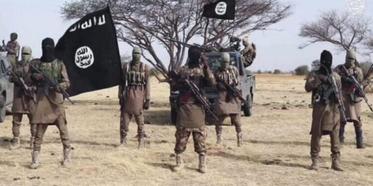 US, Nigerian forces kill three ISWAP lieutenants